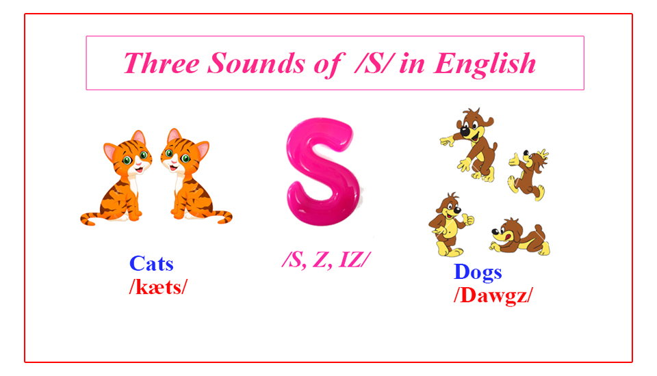Sounds of the Plural –S in English