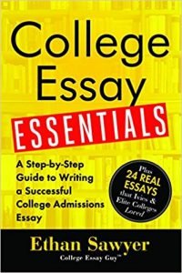 essay writing books for college students